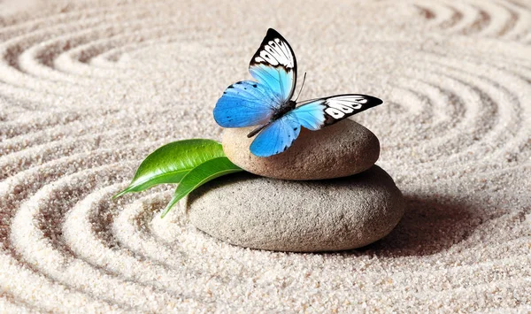 Sand, blue butterfly and spa stone in zen garden. Spa concept. — Stock Photo, Image