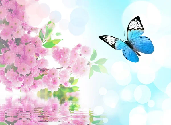 ピンクの花、空を背景に美しい蝶 — ストック写真