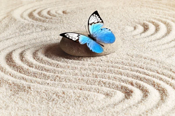 Sand Blauer Schmetterling Und Kurstein Zen Garten Spa Konzept — Stockfoto