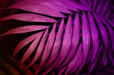 Pembe doku arka plan tropikal palmiye yaprakları