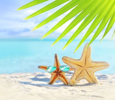 Plaj. Yaz. Deniz yıldızı deniz kıyısı üzerinde güneş gözlüğü