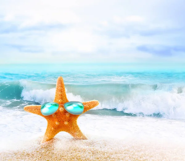 海边戴着太阳镜的海星 — 图库照片