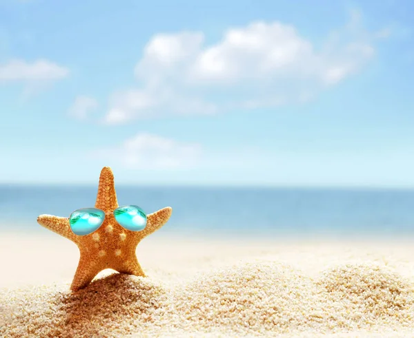 Plaży Letnich Rozgwiazdy Okulary Brzegu Morza — Zdjęcie stockowe