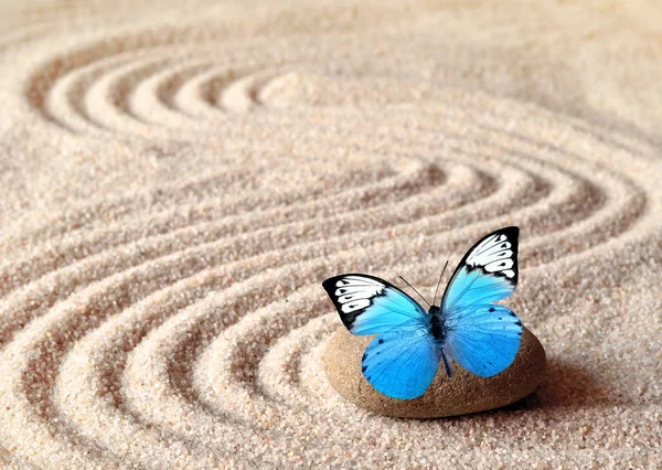 Un papillon bleu vif sur une pierre zen avec des motifs de cercle dans le sable de grain . — Photo