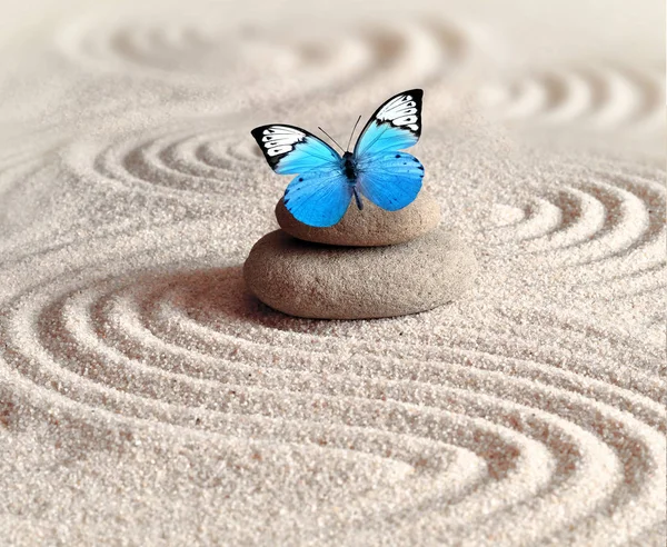A blue vivid butterfly on a zen stone with circle patterns in the grain sand. — Stock Photo, Image