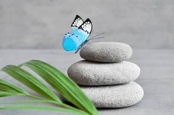 Farfalla, luce e pietre bilanciate. Foglia di Palma. Concetto Zen e Spa . — Foto Stock