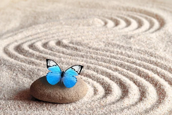 Ein blauer lebendiger Schmetterling auf einem Zen-Stein mit Kreismustern im Sand. — Stockfoto