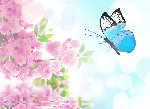 Prachtige Vlinder Roze Bloem Hemelachtergrond — Stockfoto
