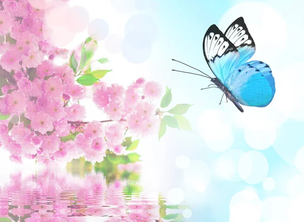 beautiful butterfly on pink flower, sky background.