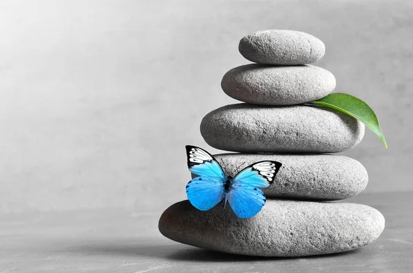 Butterfly Light Balanced Stones Green Leaf Zen Spa Concept — Stock Photo, Image