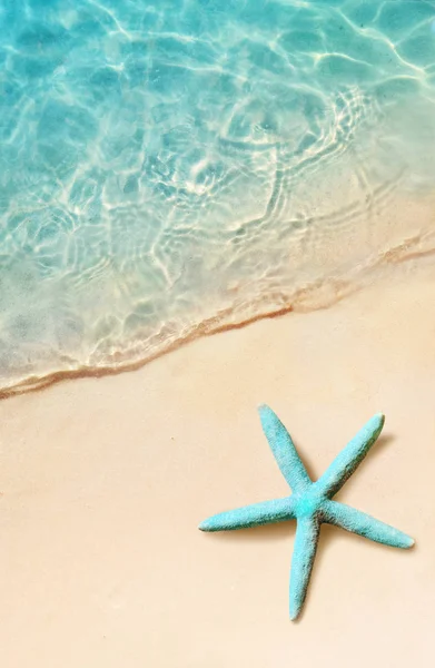 Starfish Praia Verão Fundo Verão Praia Areia Tropical — Fotografia de Stock