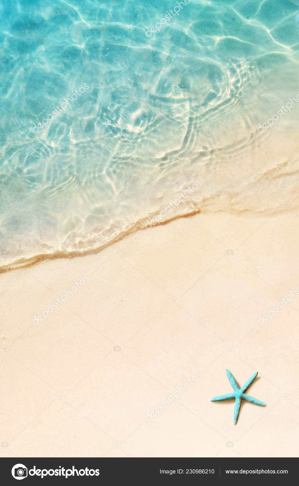 Starfish summer beach summer background tropical sand beach stock photo