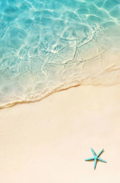 Seestern Sommerstrand Sommer Hintergrund Tropischer Sandstrand — Stockfoto
