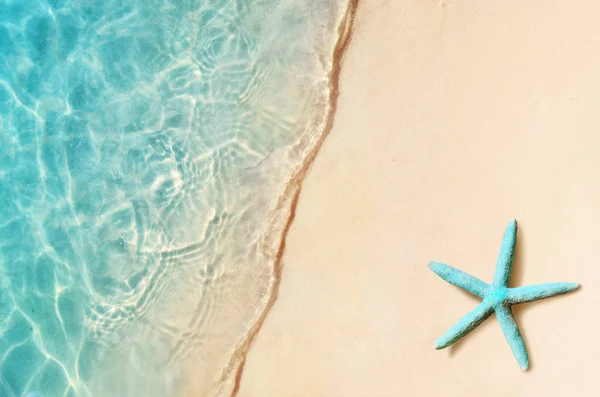 Starfish na praia de verão. Fundo de verão. Praia de areia tropical — Fotografia de Stock