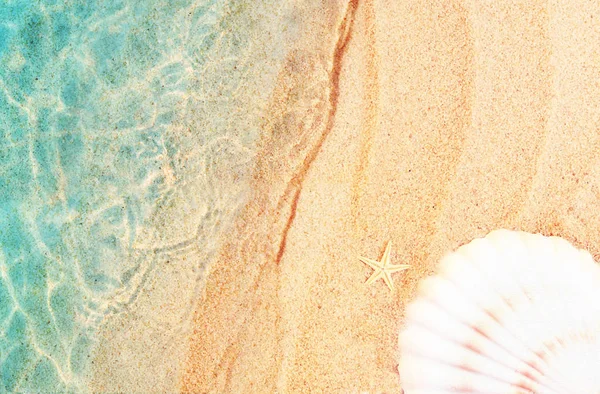 Зоряна риба і морська мушля на літньому пляжі в морській воді. Літній фон. Літній час . — стокове фото