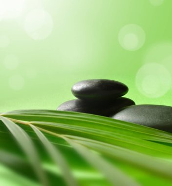 Spa ve yeşil zemin üzerine yeşil yaprakları için taş