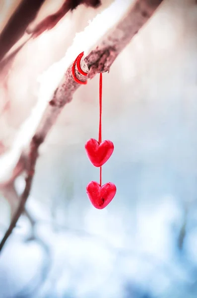 Röda Hjärtan Snöiga Trädgren Vintern Helgdagar Glad Alla Hjärtans Dag — Stockfoto