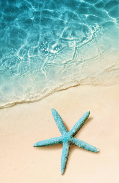 Starfish on the sand beach and ocean as background. Summer beach