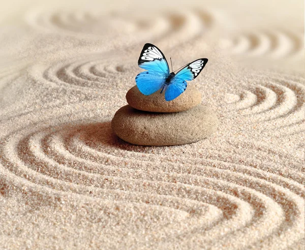 Ein Blauer Lebendiger Schmetterling Auf Einem Zen Stein Mit Kreismustern — Stockfoto