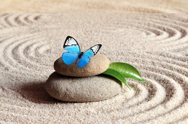 一只蓝色的生动蝴蝶在一块禅宗石头上 在麦砂中有圆形图案 — 图库照片