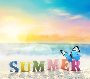 Yaz plaj. Word yaz yaz plaj renkli harfler ve okyanus bir arka plan üzerinde kelebek.