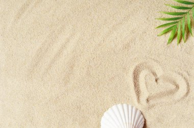Tropikal arka plan. Kumlu zemin üzerine seashell ile palmiye ağacı branche. Seyahat. Kopya alanı.