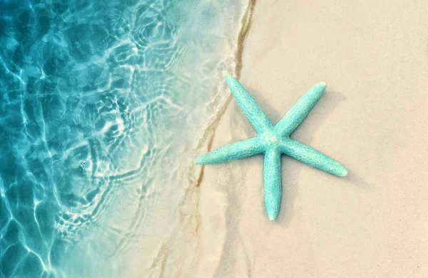 Deniz Yıldızı Kum Plaj Deniz Arka Plan Olarak Yaz Kumlu — Stok fotoğraf