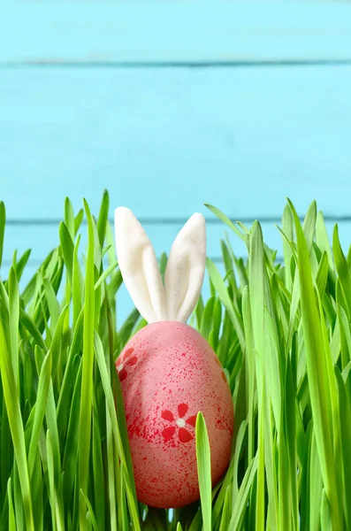 Easter funny bunny on green grass and easter egg. Easter background.