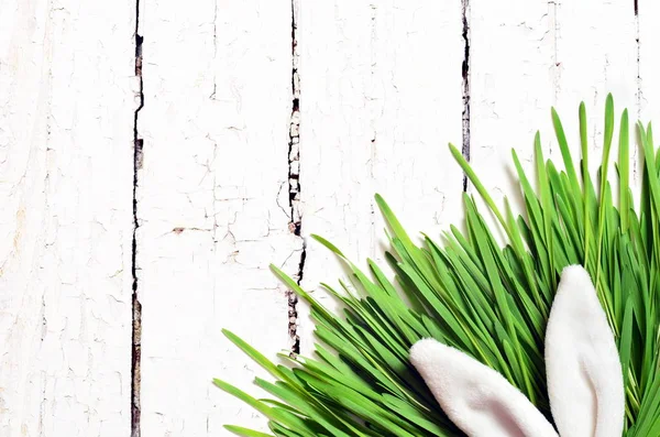 Easter funny bunny ears on green grass on wooden background. Easter background.