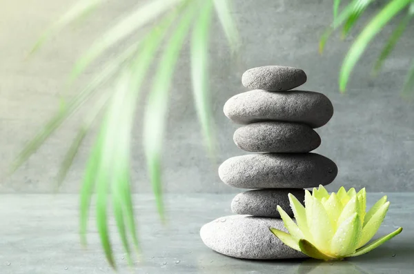 石头平衡, 黄花莲花和绿色棕榈叶。水疗理念. — 图库照片