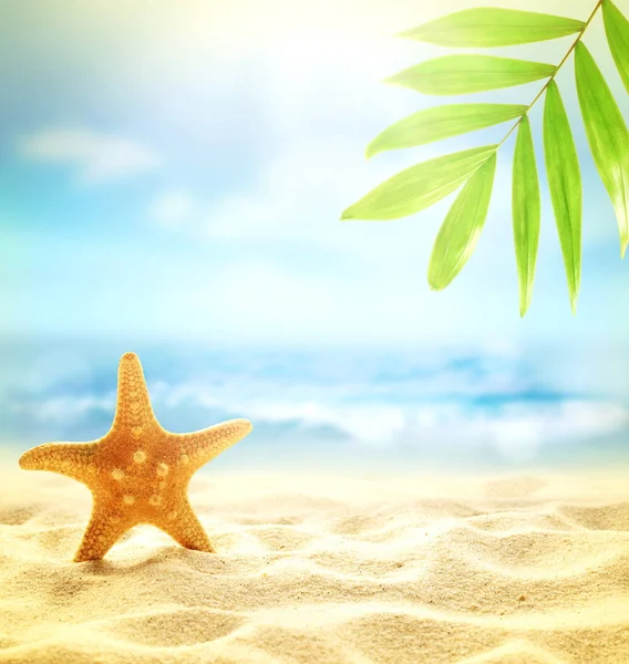Fondo de playa de verano. Arena, hoja de palma, estrellas de mar, mar y cielo. Concepto de verano — Foto de Stock