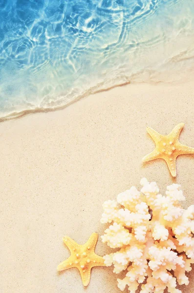 Sjöstjärnor på sommarstranden i havsvatten. Sommarbakgrund. Sommartid. — Stockfoto