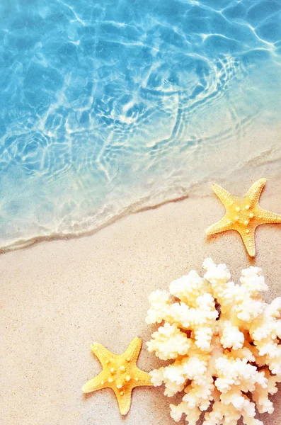 Starfish on the summer beach in sea water. Summer background. Summer time. — Stock Photo, Image