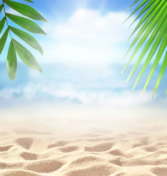 沙子与棕榈和热带海滩 bokeh 背景, 暑假和旅行概念。复制空间 — 图库照片