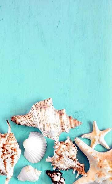 コピー スペースを持つ休暇時間の概念として青い木製の背景で貝殻とヒトデのトップ ビュー — ストック写真