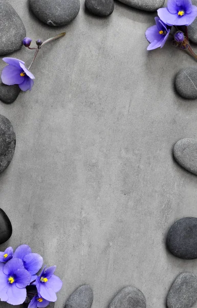 Blaue Blume und Stein Zen Spa auf grauem Hintergrund — Stockfoto