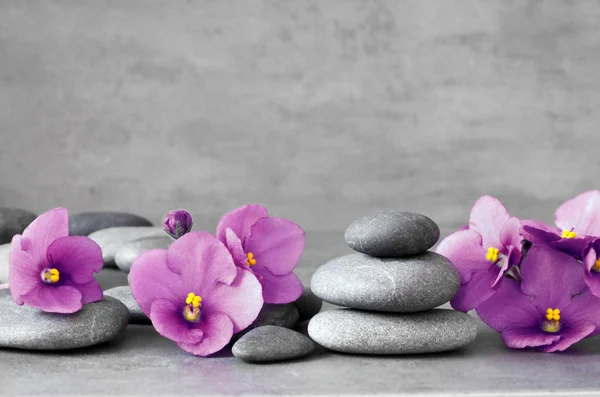 Purple flower and stone zen spa on grey background