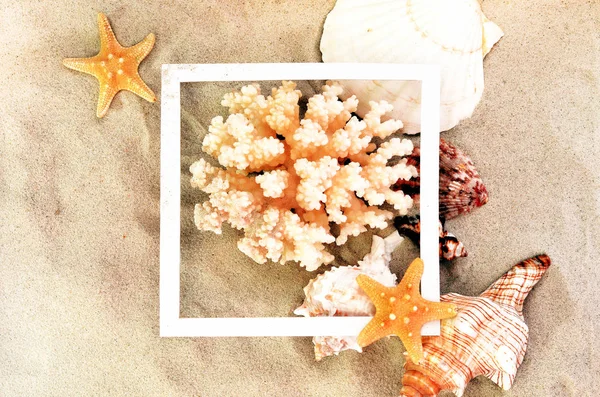 Top view of Beach sand with shells, coral and starfish. Summer background concept. — Stock Photo, Image