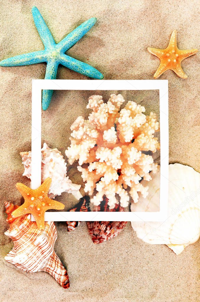 Top view of Beach sand with shells, coral and starfish. Summer background concept.