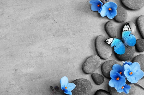 Niebieski kwiat i kamień spa zen na szarym tle — Zdjęcie stockowe
