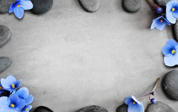 Blaue Blume und Stein Zen Spa auf grauem Hintergrund — Stockfoto