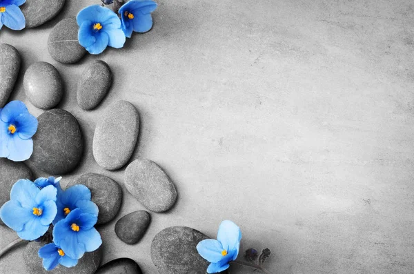 Blu fiore e pietra zen spa su sfondo grigio — Foto Stock