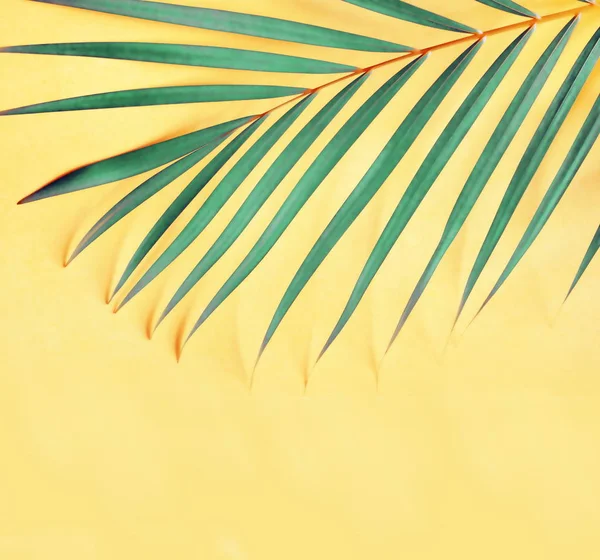 Тропічні пальми листя на пастельно-жовтому тлі. Мінімальна концепція літа. Креативна квартира лежить з копіювальним простором. Вид зверху . — стокове фото