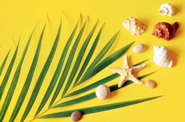 Yaz titreşimleri. Tropik palmiye yaprağı, deniz kabuğu ve deniz yıldızı. Düz yatış, üst görünüm