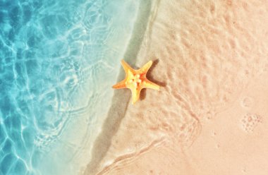 Yaz sahilde deniz yıldızı. Yaz arka plan. Tropikal kum plaj