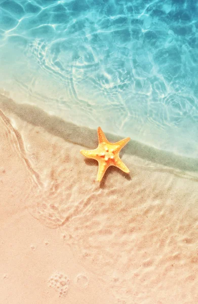 Rozgwiazda na plaży latem. Lato na tle. Tropikalne sand plaża — Zdjęcie stockowe
