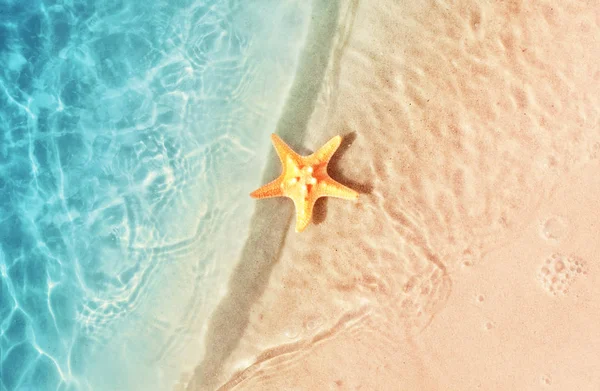 Estrella de mar en la playa de verano. Fondo de verano. Playa de arena tropical — Foto de Stock
