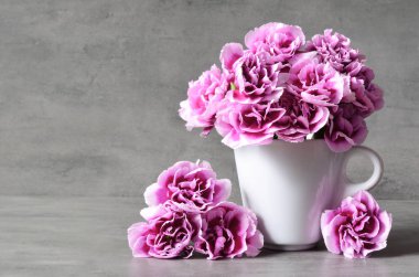 Gri arka planda fincan pembe karanfil çiçekler.