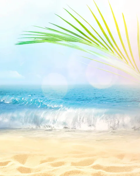 Yaz plaj arka plan. Kum, palmiye yaprağı, deniz ve gökyüzü. — Stok fotoğraf
