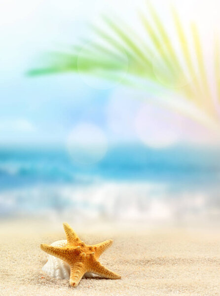 Летний пляжный фон. Песок, пальмовый лист, морская звезда, море и небо. Летняя концепция
